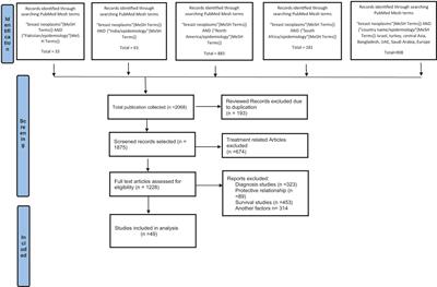 Global epidemiology of breast cancer based on risk factors: a systematic review